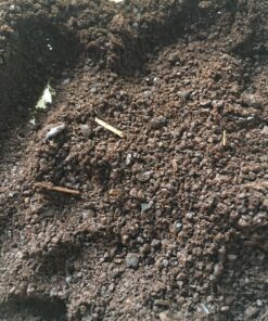 Kicking Horse Coffee, Decaf, Swiss Water Process, Dark Roast, Whole Bean, 2.2 Pound - Certified Organic, Fairtrade, Kosher Coffee, 35.2 Ounce, Decaf - Dark Roast 2.2 Pound (Pack of 1) 40 91j5eJDMQmL