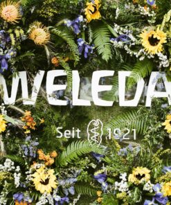 Weleda Skin Food Original Ultra-Rich Body Cream Trio, 3 Piece Set, 2.5 Fluid Ounce (Pack of 1), 1 Fluid Ounce (Pack of 2), Plant Rich Moisturizer and Lip Care with Chamomile and Calendula 17 91j5o5gPsYL