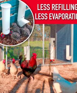 Royal Rooster Chicken Feeder and Waterer Set - Includes 1 Gallon Waterer with 2 Cups and 7lb Feeder for Chickens - Chicken Coop Accessories with Hanging Chicken Poultry Feeder and Chicken Waterer Kit 2-Cup Waterer 32 91j8NX4EJCL