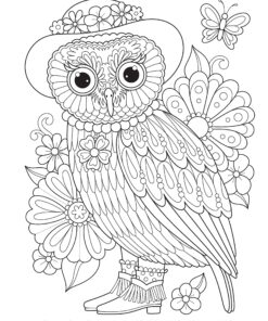 Groovy Owls Coloring Book (Coloring is Fun) (Design Originals) 32 Adorable Art Activities with Quiet, Stoic, Wise, and Happy Owls, plus Beginner-Friendly Advice, Techniques, Color Choices, & Examples Paperback, Coloring Book 33 91j9n0uFUzL