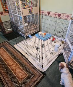 MidWest Homes for Pets Foldable Metal Dog Exercise Pen / Pet Playpen. Black w/ door, 24'W x 30'H, 1-Year Manufacturer's Warranty 30" H 39 91jHnwMLdiL