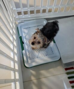 Artificial Grass Pee Pad Set for Dogs - Reusable Puppy Essential for Potty Training Small Pets Indoors and Outdoors by PETMAKER (Green) Potty Trainer 10 91jJ4jsngL