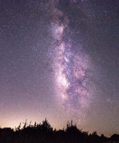 Tokina AT-X PRO DX for digital SLR 11-20mm f/2.8 Pro DX Lens for Nikon F 86 91jP4g8gYL