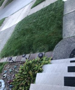 Scotts Turf Builder Weed & Feed3, Weed Killer Plus Lawn Fertilizer, Controls Dandelion and Clover, 5,000 sq. ft., 14.29 lbs. 5,000 sq. ft. Weed and Feed 48 91jTILmI7uL