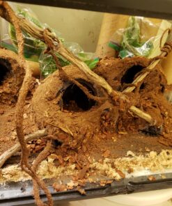 Great Stuff 283064 12OZ GS Pond&Stone Foam Sealant, Each, Black Pond & Stone 47 91jbdCZjdqL