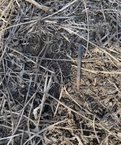 Bounty Hunter TK4 Tracker IV Metal Detector with 8-inch Waterproof Coil 33 91jfY k4hTL