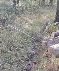 Premier 48" PoultryNet® Electric Fence 12/48/3, 164', Double Spike, White 16 91jhscx9Z5L