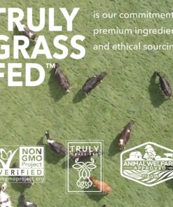 Iconic Protein Drinks, Vanilla Bean (12 Pack) - Sugar Free & Low Carb - 20g Grass Fed Protein - Lactose Free, Gluten Free, Non-GMO, Kosher - Keto Friendly Protein Shakes 21 91jjyNAk4rL