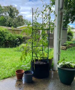 VIVOSUN 5-Pack 10 Gallon Plant Grow Bags, Heavy Duty Thickened Nonwoven Fabric Pots with Handles Black 10 Gallons 42 91jmajBwuQL