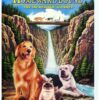 Homeward Bound - The Incredible Journey DVD 
                             
                            December 12, 2000