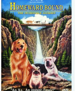 Homeward Bound - The Incredible Journey DVD 
                             
                            December 12, 2000