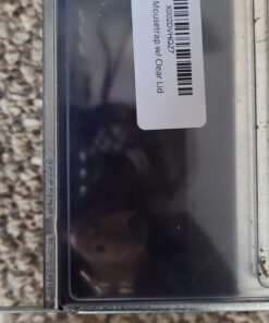 Ketch-All Mousetrap w/ Clear Lid 24 91jxe4NXm8L