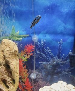 PENN-PLAX Standard Airline Tubing for Aquariums – Clear and Flexible – Resists Kinking – Safe for Freshwater and Saltwater Fish Tanks – 8 Feet 31 91k6GNhkz6L