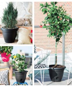 Bloem FBA LP1246 Lucca Planter, 12-Inch, Terra Cotta 12" 9 91k8OKzEK1L 1