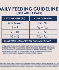 Natural Balance Original Ultra Chicken Meal & Salmon Meal Cat Food Whole Body Health Dry Food for Kittens to Adult Cats 15-lb. Bag Chicken Meal & Salmon Meal Formula 15 Pound (Pack of 1) 19 91kEuvKPZL 2