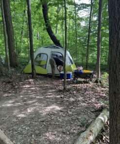 CORE 6 Person Instant Cabin Tent | Portable Large Pop Up Tent with Easy 60 Second Camp Setup for Family Camping | Included Hanging Organizer for Outdoor Camping Accessories Light Gray/Green 40 91kGCEuGH2L