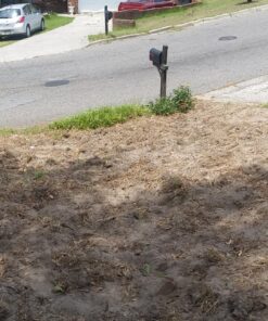 Fiskars Square Garden Spade Shovel - 46" - Steel Flat Shovel with D-Handle - Garden Tool for Digging, Lawn Edging, Pruning - Heavy Duty Weed Puller Tool - Black/Orange 41 91kQ5bz0HL