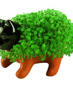 Alternative view of Chia Pet Kitten with Seed Pack, Decorative Pottery Planter, Easy to Do and Fun to Grow, Novelty Gift, Perfect for Any Occasion