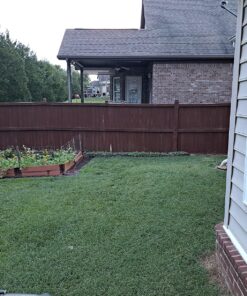 Seed Needs, 350+ Nasturtium Seeds for Planting - Jewel Mixture (Tropaeolum nanum) Non-GMO, Easy to Grow Mix, Attracts Pollinators - Bulk Bulk Pack (350 Seeds) 31 91ka 4XZBfL