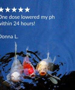 API POND pH DOWN Pond Water pH Reducing Solution 16-Ounce Bottle, White, Model:170B 12 91kmf8rv2L