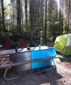 Coleman Sundome Camping Tent, 2/3/4/6 Person Dome Tent with Snag-Free Poles for Easy Setup in Under 10 Mins, Included Rainfly Blocks Wind & Rain, Tent for Camping, Festivals, Backyard, Sleepovers Palm Green 3 Person 48 91koU8slGgL