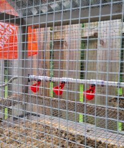 sansheng 24Pack Chicken Waterer Cups,Poultry Water Cups,Automatic Poultry Waterer for DIY Poultry Quail Duck Chicken Bird Drinker 24 36 91lA2 P0zPL