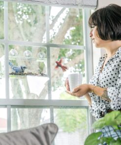 Tranquil Outdoors Large Acrylic Window Bird Feeder: Strong Removable Suction Cup Mounted Outdoor Bird House Feeder, Clear Birdfeeders for Large & Small Birds. Best See Thru Feeder for Bird Watching 43 91lFawImdL