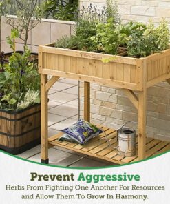 VegTrug 8 Pocket Herb Garden Brown 36 91lJOl9iNBL