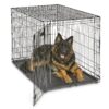 MidWest Homes for Pets Newly Enhanced Single Door iCrate Dog Crate, Includes Leak-Proof Pan, Floor Protecting Feet, Divider Panel & New Patented Features iCrate; Single Door 48.0"L x 30.0"W x 33.0"H 37 91lNMt1M4hL