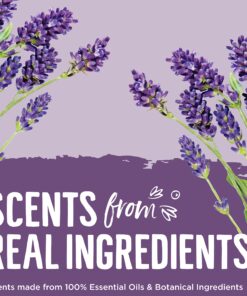 Seventh Generation Liquid Laundry Detergent, Fresh scent, Lavender, 100 Fl Oz 16 91lSTzG29gL