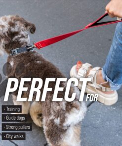 Leashboss Short Dog Leash for Dog Training | Padded Traffic Handle Short Leash for Dog Training, Total Comfort When Dog Walking | Traffic Leash for Dogs Large, Medium, Small | Short Nylon Dog Lead 12 Inch Black/Red/Grey 28 91lTh3OFSDL 1