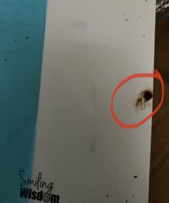 Smiling Wisdom - Friendship - A Reason Season Lifetime Friend Greeting Card and Leaf Necklace - Growing Together - Women BFF Green Card - Silver Leaf Large 5x7 in 23 91lWxIasSRL