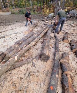 The Mingo Marker Firewood Measuring Tool - Chainsaw Firewood Marking Tool With Marking Wheels - Log Paint Marker -Firewood Measuring Tool For Chainsaw - Logging Tools (Mingo Marker With 16" Wheel) Mingo Marker With 16" Wheel 20 91lYgFFJjL