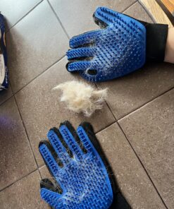 DELOMO Upgrade Pet Grooming Gloves Cat Brushes for Gentle Shedding - Efficient Pets Hair Remover Mittens - Dog Washing Gloves for Long and Short Hair Dogs & Cats & Horses - 1 Pair (Blue) 1A Blue- 1 Pair 41 91lj iFN63L