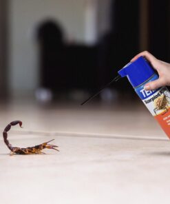 TERRO Scorpion Killer Aerosol Spray T2101 1 Pack 26 91lj2lOyzbL