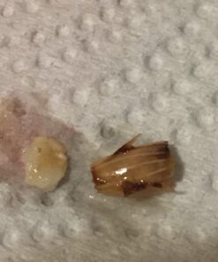 Quaker Instant Oatmeal, 4 Flavor Variety Pack, Individual Packets, 48 Count Variety Pack - Classic 4 Flavor 26 91lpG07IwUL