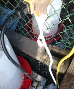 Rite Farm Products 3.7 Gallon Heated Poultry Chicken Waterer (14 Liter) Drinker with LED 12 91lwo1HLeyL