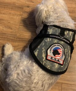 Zenith Industries ZN700001 Trim Puller , Black 34 91lxXU6aeJL