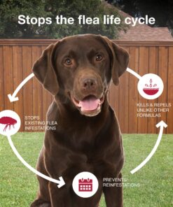 K9 Advantix II Large Dog Vet-Recommended Flea, Tick & Mosquito Treatment & Prevention | Dogs 21 - 55 lbs. | 4-Mo Supply 4 Pack Large Dog only 20 91mCAhv SML 1