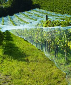CandyHome 13Ft x 33Ft Anti Bird Protection Mesh Garden Netting Seedlings Plants Flowers Fruit Trees Vegetables from Rodents Deer Reusable Fencing, 13Ft x 33Ft, Green 18 91mSjpHy0fL