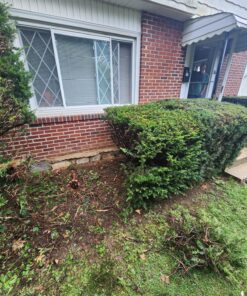 BLACK+DECKER 20V MAX Chainsaw Kit, Cordless, 10 inch, Tool-Free Chain Tensioning, Oil Lubrication System, Battery and Charger Included (LCS1020) 20V Chainsaw Kit 37 91mWe5dicOL