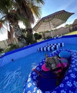 SwimWays Paddle Paws Spring Float Dog Raft, Small (0-65 lbs.) 24 91maFILLk5L