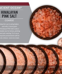 SaltWorks Ancient Ocean Himalayan Pink Salt, Coarse Grain, 5 Pound Bag 5 Pound (Pack of 1) 25 91meZy1WpYL