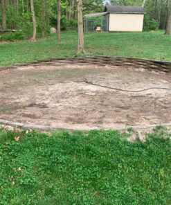 Eden Brothers All Perennial Wildflower Mixed Seeds for Planting, 1/4 lb, 120,000+ Seeds with Lupine, Shasta Daisy | Attracts Pollinators, Plant in Spring or Fall, Zones 3, 4, 5, 6, 7, 8, 9, 10 1/4 Pound 52 91mvBSijsdL