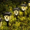 SOLPEX 6 Pack Solar Outdoor Lights, LED Decorative Solar Garden Lights, Solar Outside Lights for Yard, Landscapes, Gardens, Pathways, Walkways and Driveways 15 91n CFvNX8L