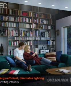 SYLVANIA LED Flood BR30 Light Bulb, 65W=9W, 10 Year, Medium Base, 650 Lumens, Dimmable, 5000K, Daylight - 2 Pack (73956) 65w / Daylight 5000k 2 Count (Pack of 1) 22 91n0mhZ4tHL