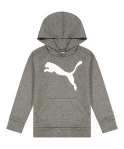 PUMA Boys' Logo Pullover Hoodie Small Charcoal 10 91n13D23YML