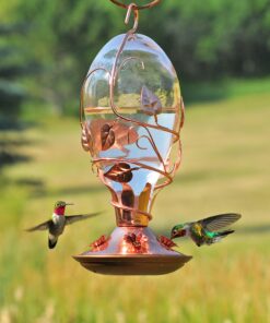 Alternative view of Perky-Pet Looking Glass Hummingbird Feeder