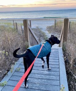 Kurgo Loft Dog Jacket, Reversible Dog Coat, Wear with Harness or Sweater, Water Resistant, Reflective, Winter Coat For Large Dogs (Ink Blue, L) Ink Blue/Seaglass 30 91nseX35LfL