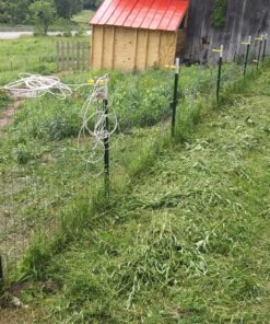 Grass Gator 4600 Weed II Heavy Duty Replacement String Trimmer Head 9 91o EuxF9WL